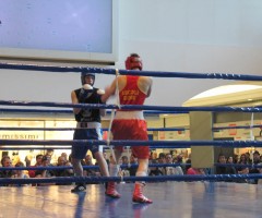 incontro-boxe-citta-delle-stelle