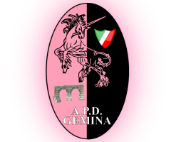 gemina-volley-sconfitta