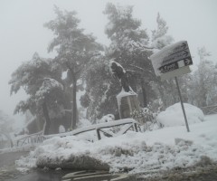 neve ripa