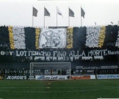 curva sud ascoli