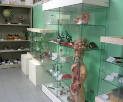 laboratorio di scienze