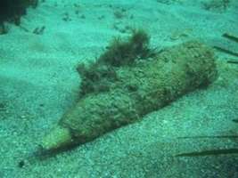 ordigni inesplosi
