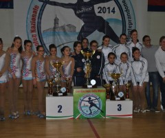 Trofeo Pattinaggi
