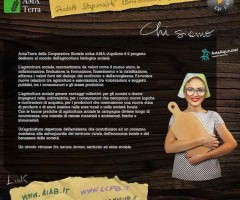 ama terra sito