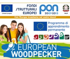 european-woodpecker-giocamondo
