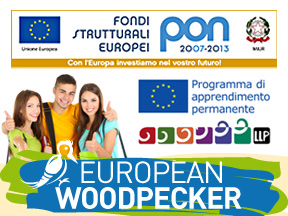 european-woodpecker-giocamondo