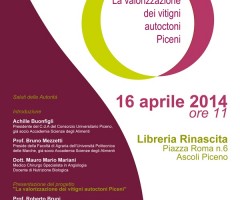 valorizzazione-vini-del-piceno