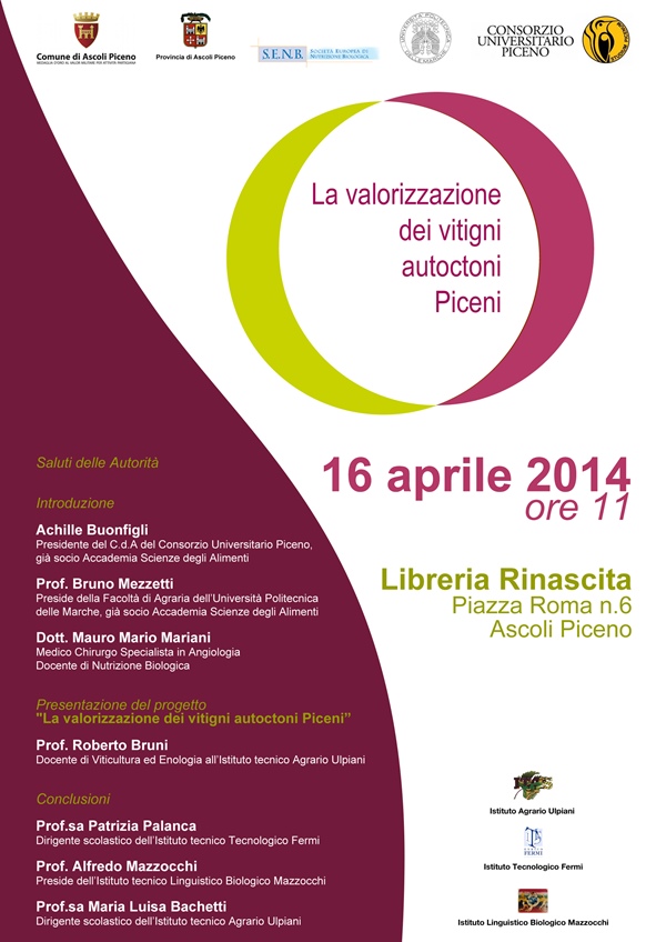 valorizzazione-vini-del-piceno