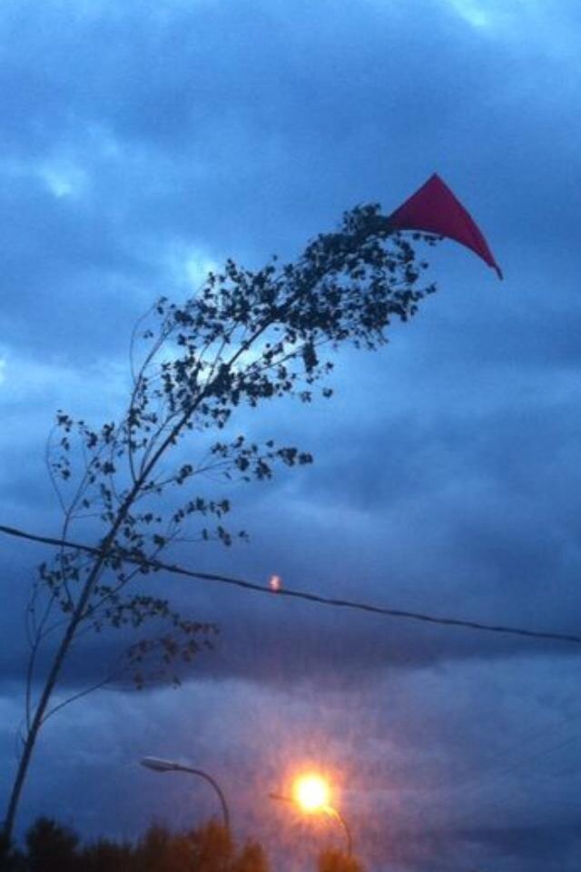 bandiera_rossa