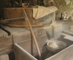 mulino angelini
