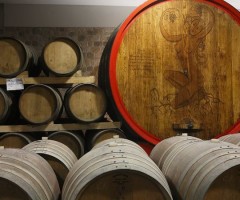Cinemadivino, Cantina Colli Ripani