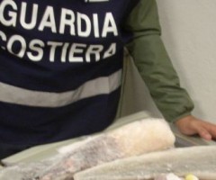 sequestrati 32 kg di pesce illegale