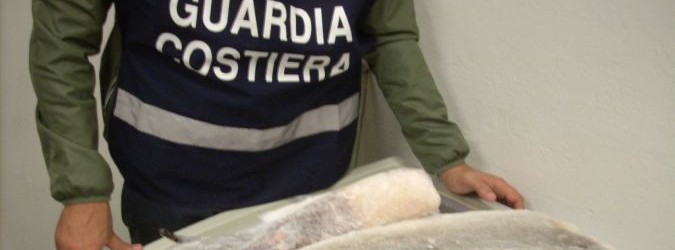 sequestrati 32 kg di pesce illegale