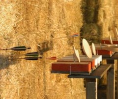 Palio degli arcieri e Freccia d'oro
