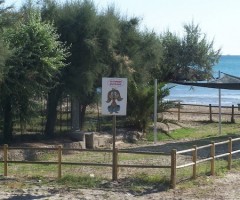 Riqualificazione del parco bau