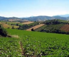 Terreni agricoli, decreto ministeriale Terrevive