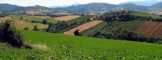 Terreni agricoli, decreto ministeriale Terrevive