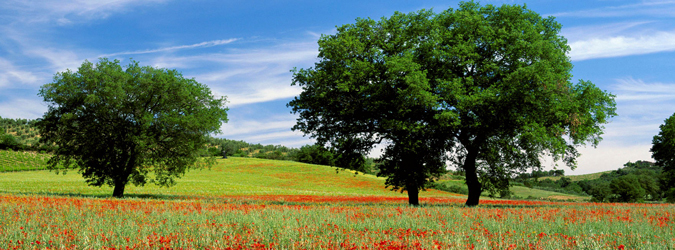 Agosto in Toscana