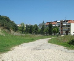 Area verde piazza Kolbe
