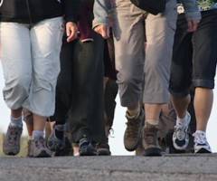 Sport in verde