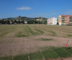 Campo da rugby