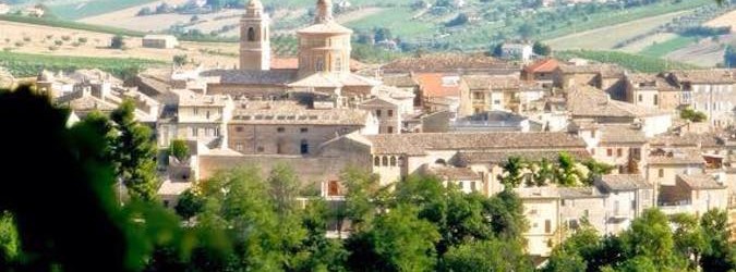 Offida a Kilimangiaro su Rai 3