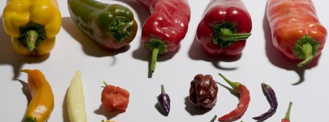 Festival del peperoncino piceno