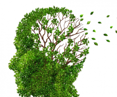 convegno alzheimer