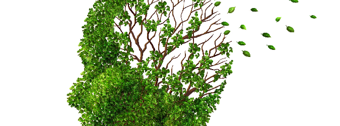 convegno alzheimer