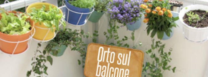Orto, sul balcone o a terra?