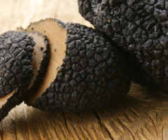 truffle&co, tartufo nero pregiato