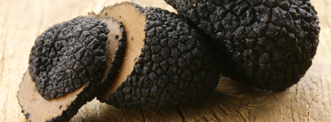 truffle&co, tartufo nero pregiato