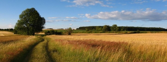 imu agricola