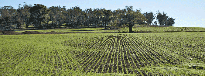 imu agricola coldiretti