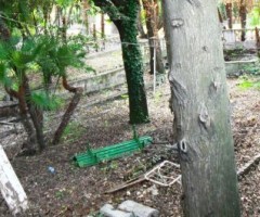Italia Nostra cerca soluzioni per Villa Cerbono-Rambelli.