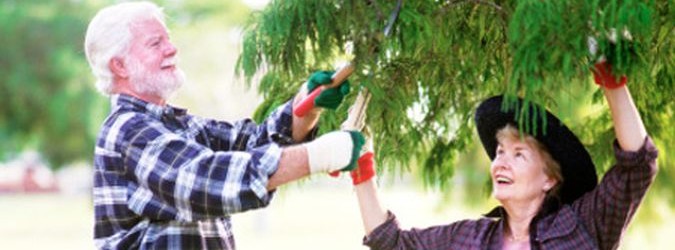 Anziani cre-attivi festa dei nonni