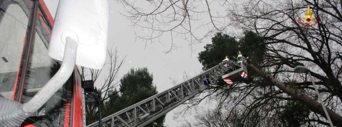 I Vigili del Fuoco segnalano i danni causati dal maltempo