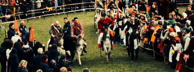 palio dei somari