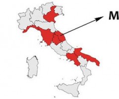 elezioni regionali marche