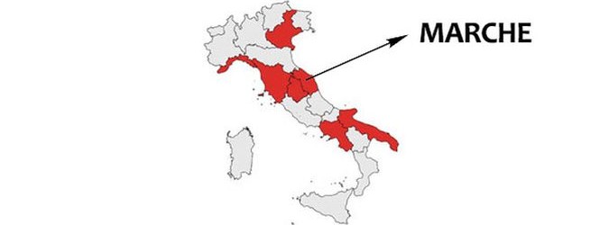elezioni regionali marche