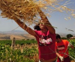 Libera per la legalità