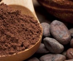 giornata equo e solidale dedicata al cacao