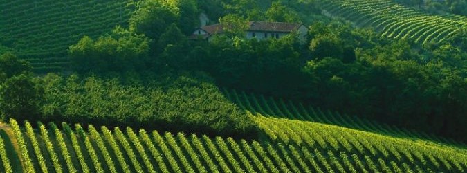 La Regione Marche approva Psr e sblocca fondi Feasr