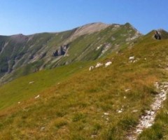 Il Parco dei Monti Sibillini cerca un direttore