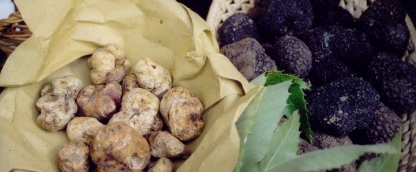 diamanti a tavola amandola