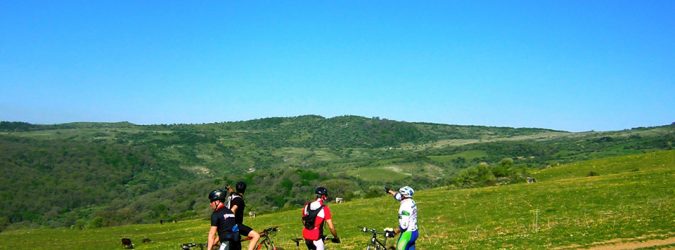mountain bike