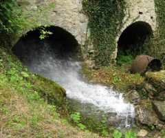 mulino