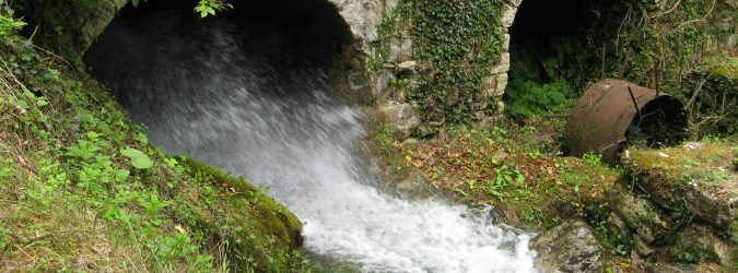 mulino
