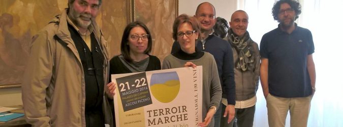 terroir marche 2016