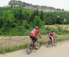 mountain bike